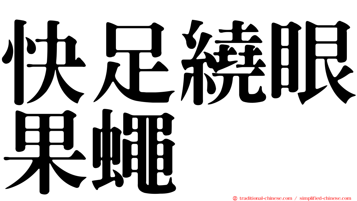 快足繞眼果蠅