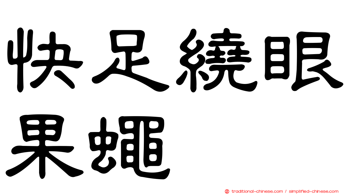 快足繞眼果蠅