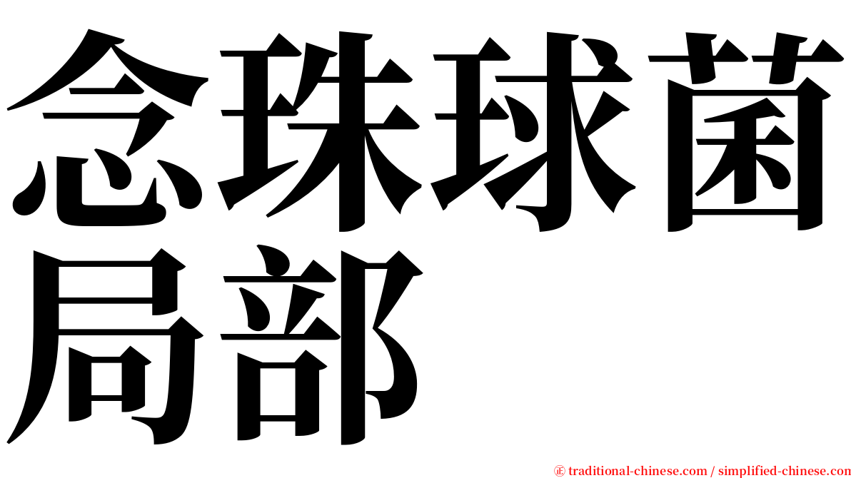 念珠球菌局部 serif font