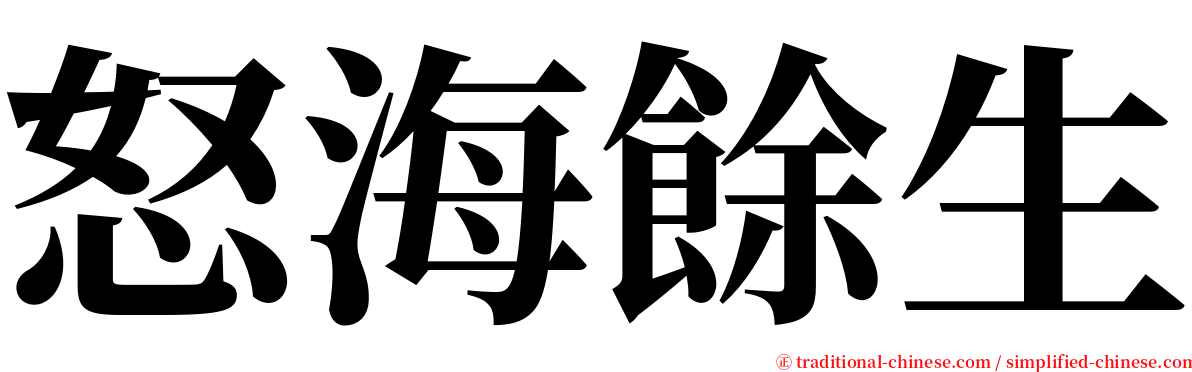 怒海餘生 serif font