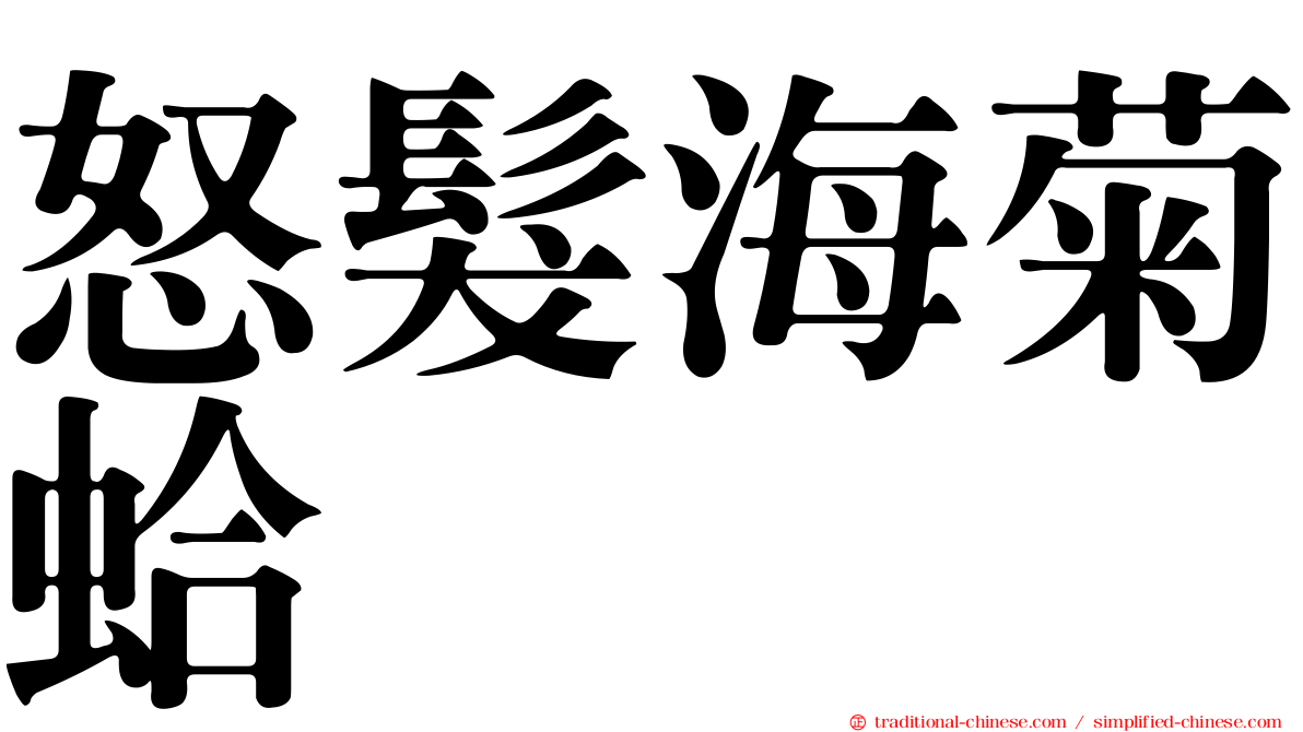 怒髮海菊蛤