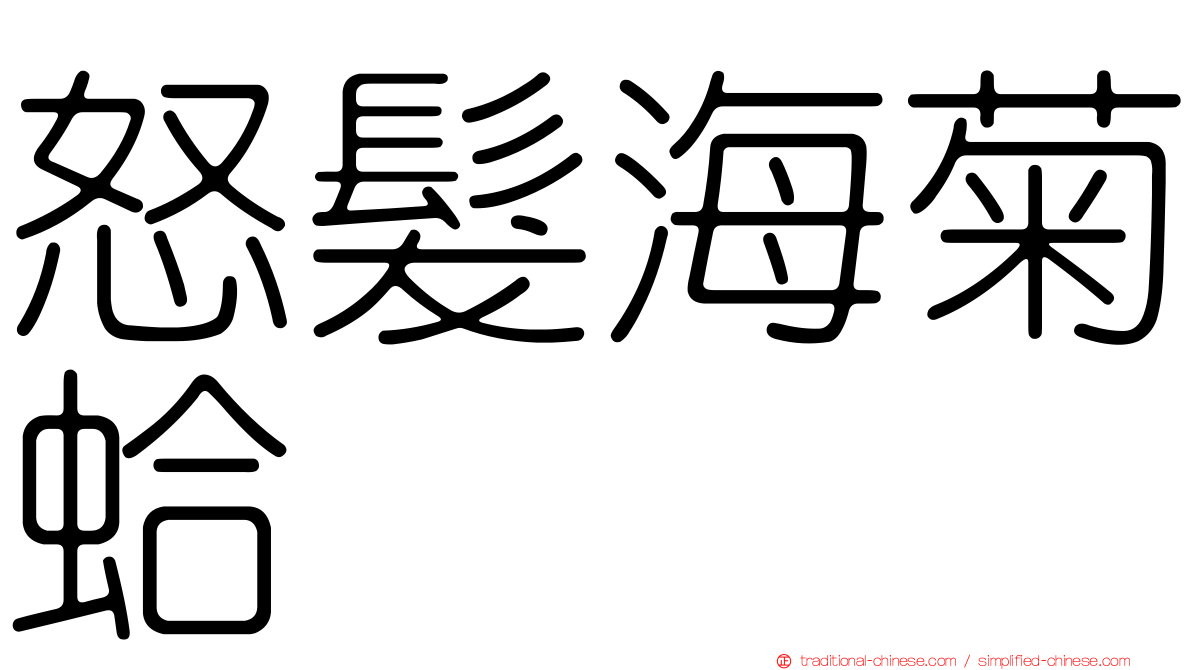 怒髮海菊蛤