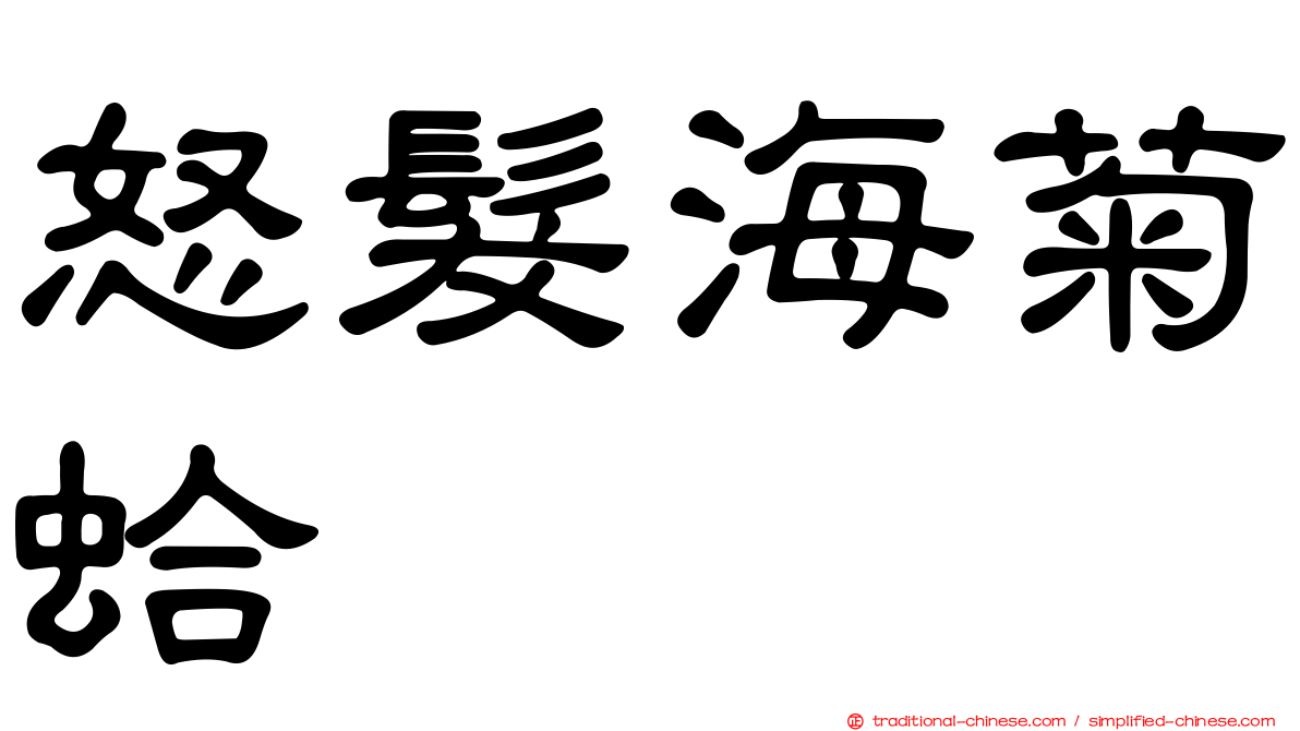 怒髮海菊蛤