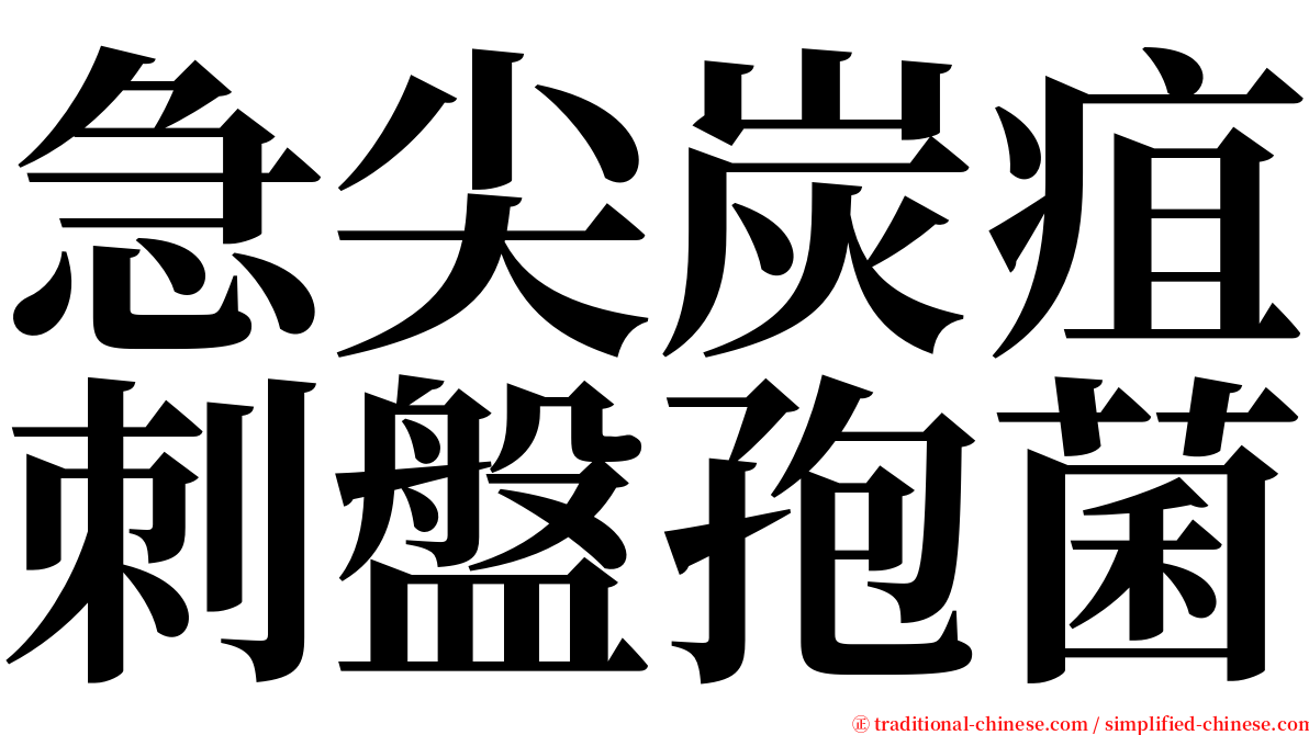 急尖炭疽刺盤孢菌 serif font