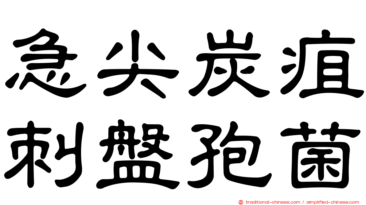 急尖炭疽刺盤孢菌