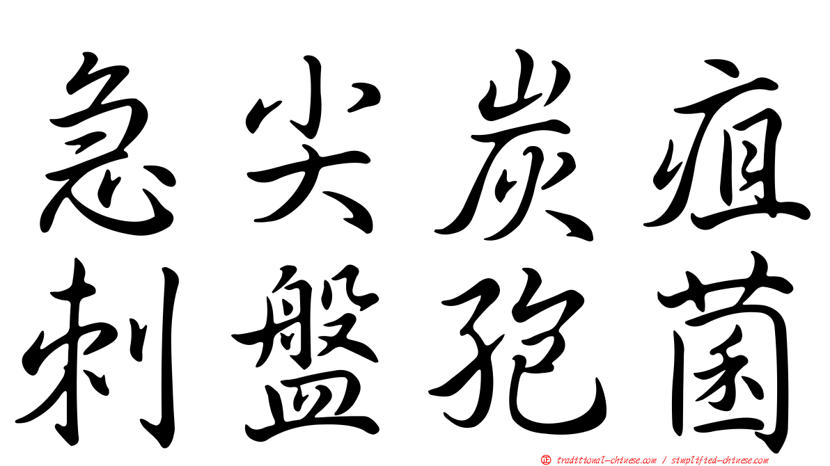 急尖炭疽刺盤孢菌