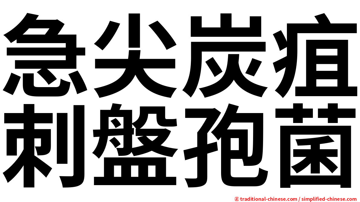 急尖炭疽刺盤孢菌