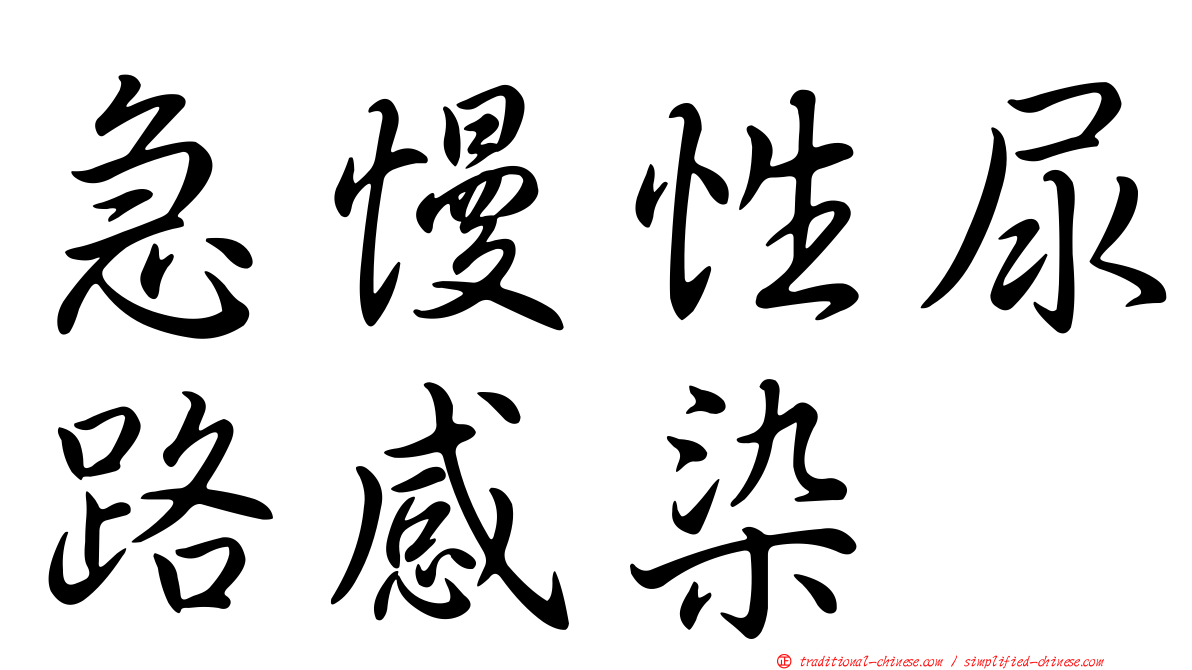 急慢性尿路感染