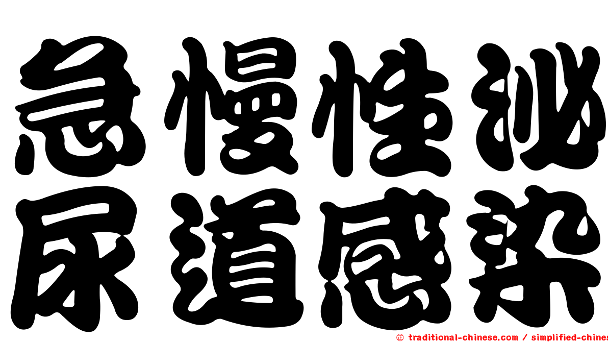 急慢性泌尿道感染