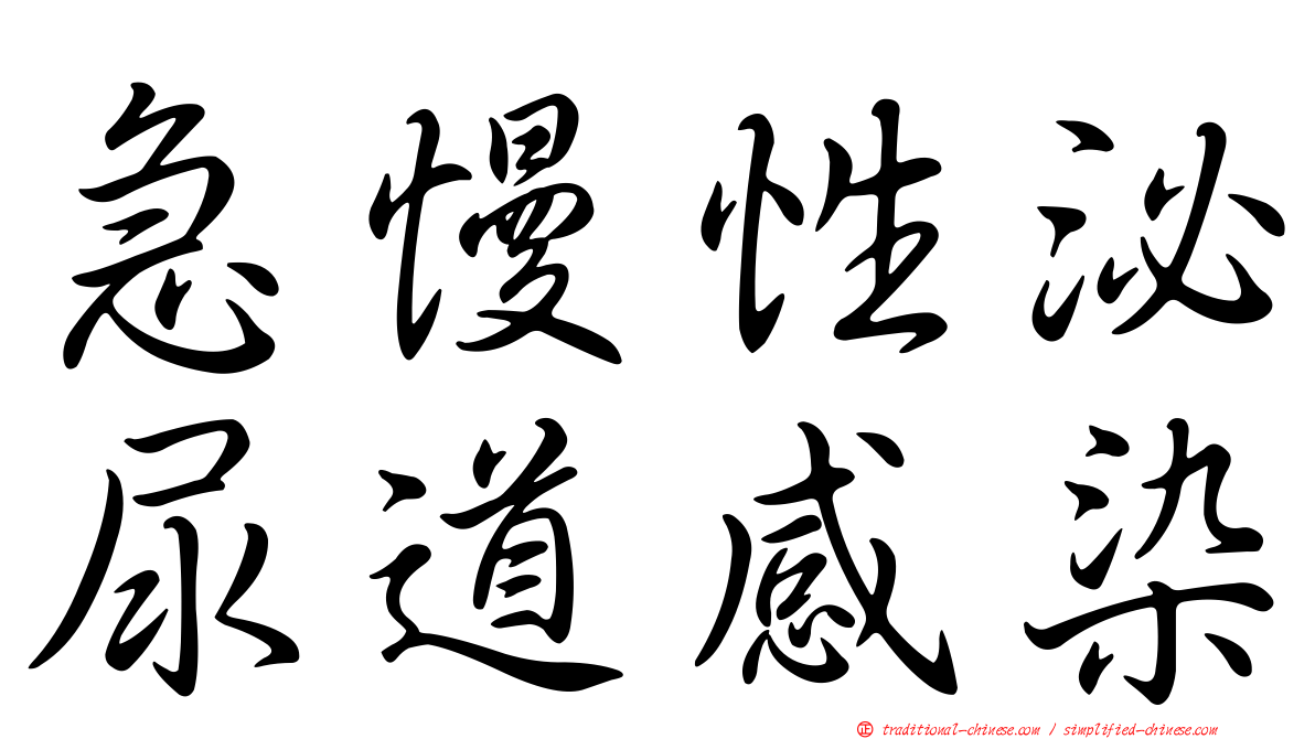 急慢性泌尿道感染