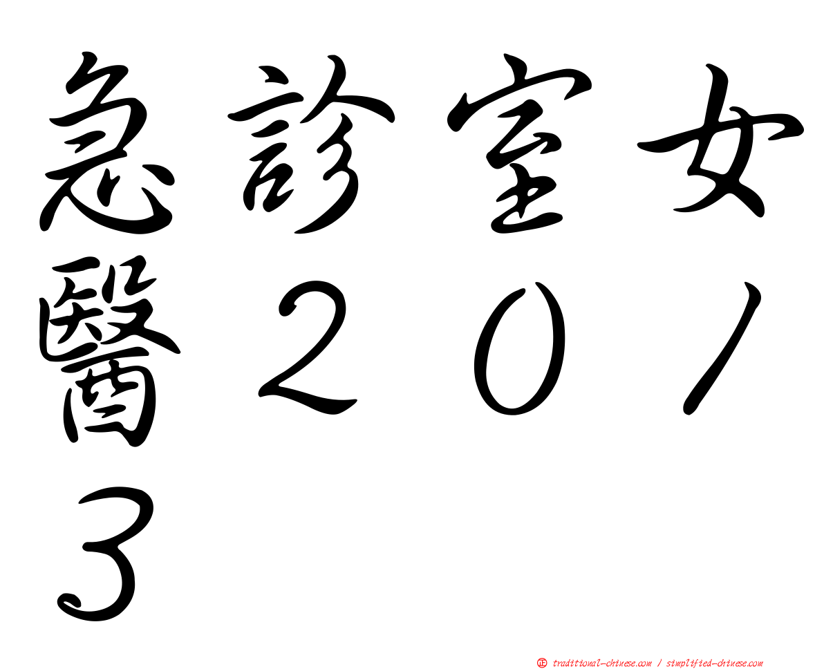 急診室女醫２０１３