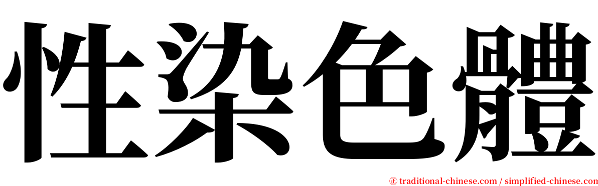 性染色體 serif font