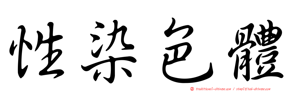 性染色體