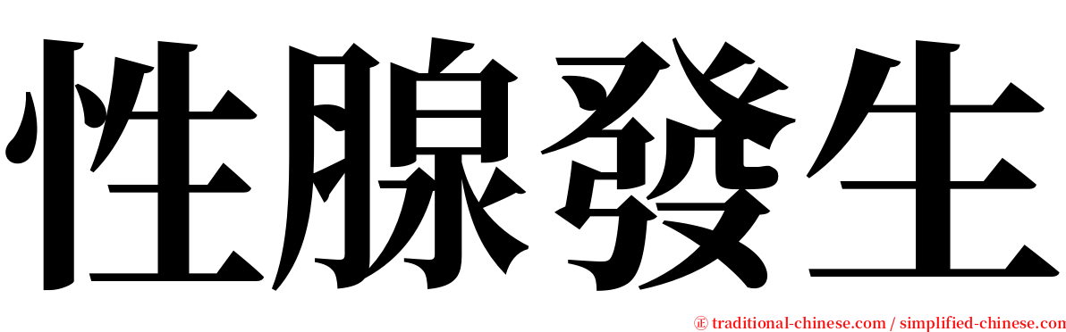 性腺發生 serif font