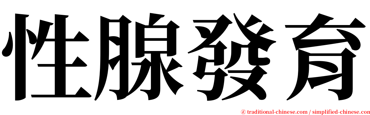 性腺發育 serif font
