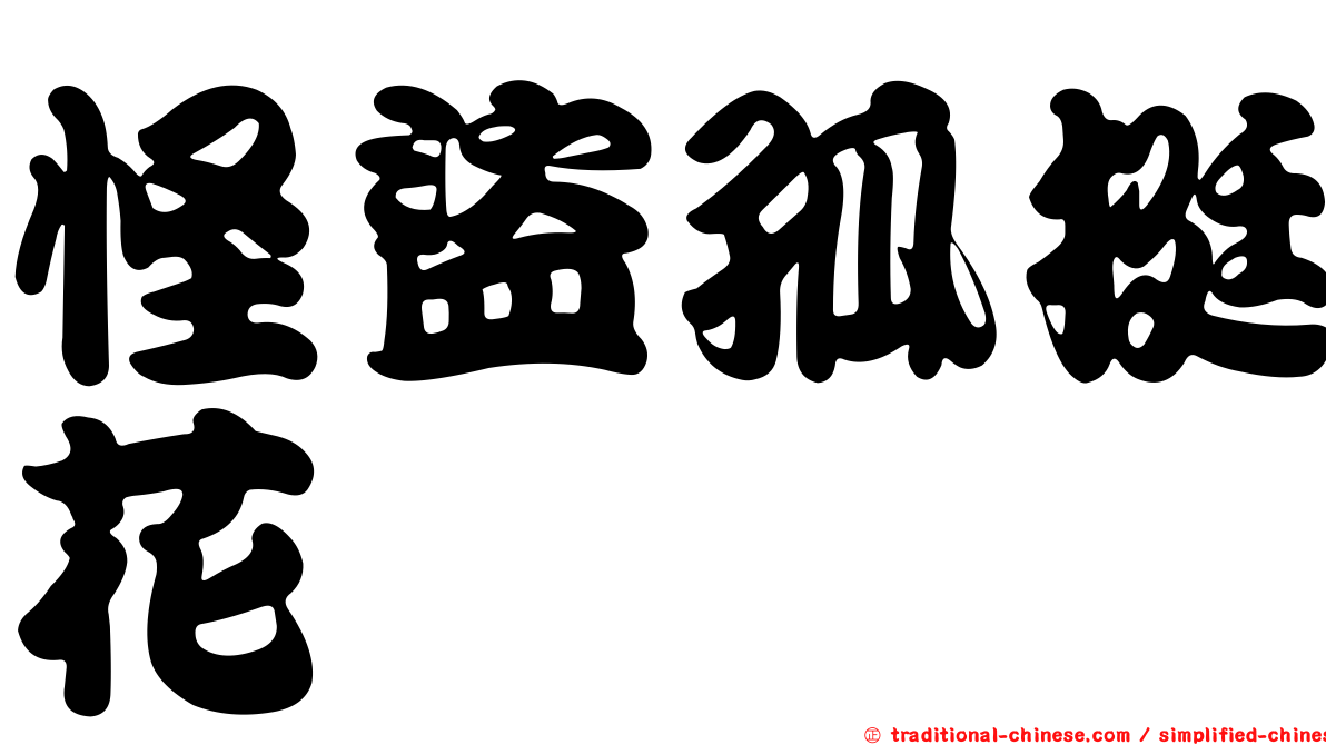 怪盜孤挺花
