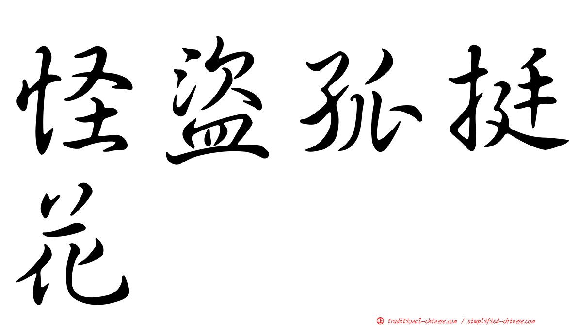 怪盜孤挺花
