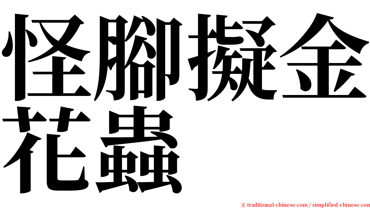怪腳擬金花蟲 serif font