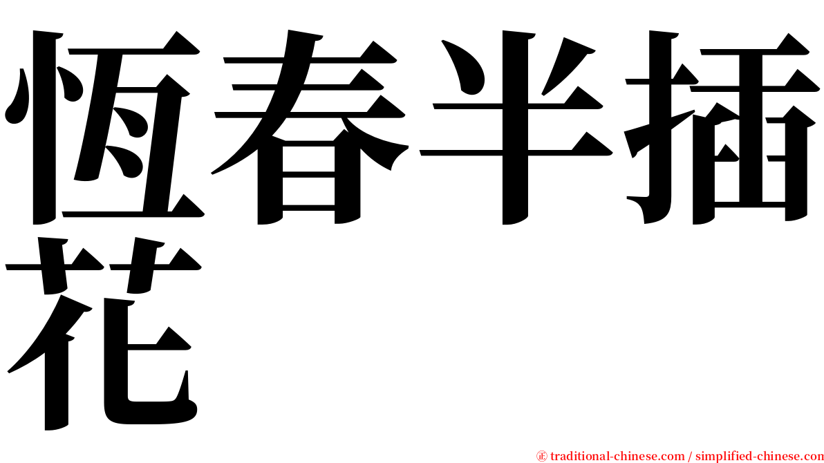 恆春半插花 serif font