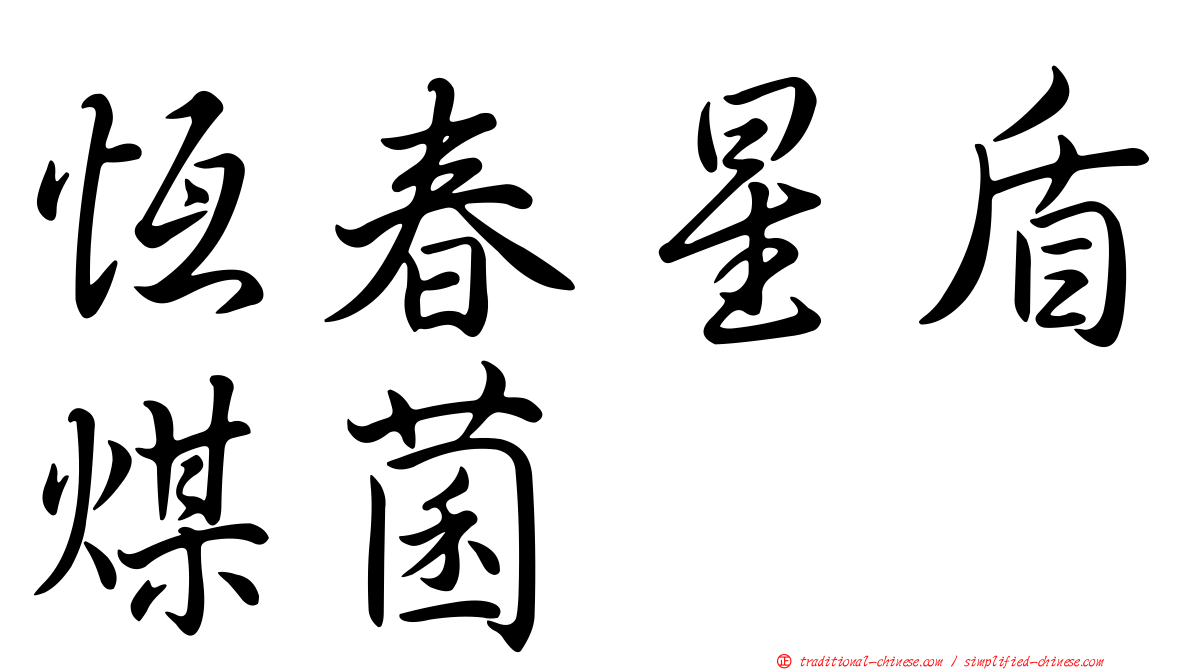 恆春星盾煤菌
