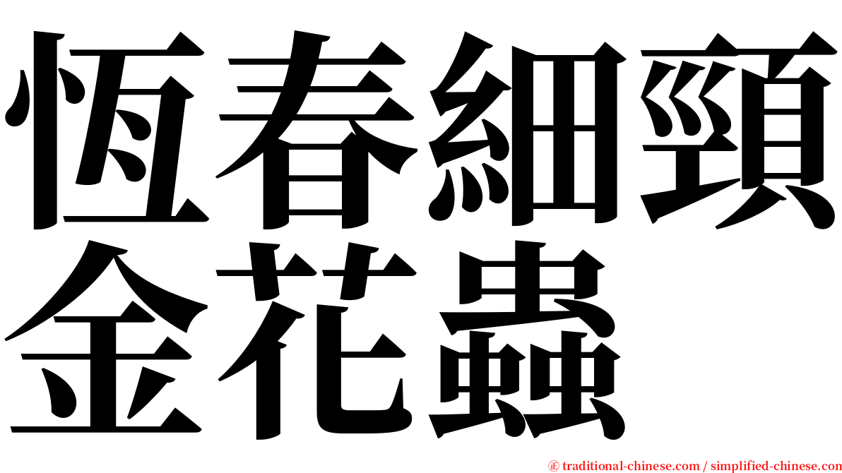 恆春細頸金花蟲 serif font