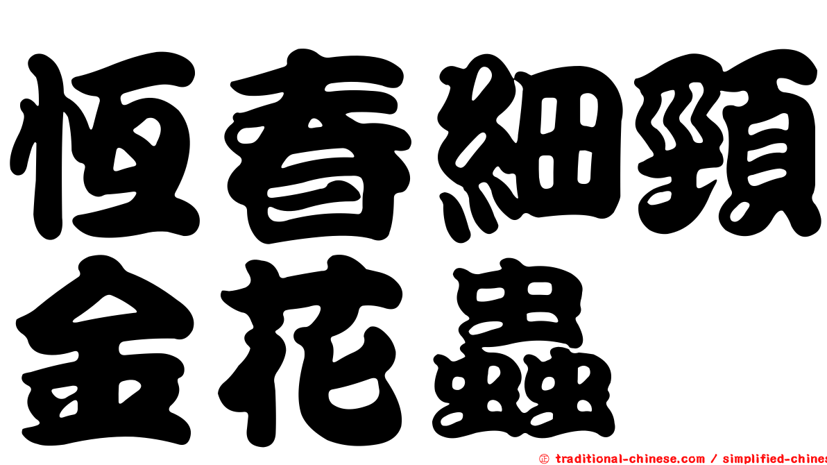 恆春細頸金花蟲