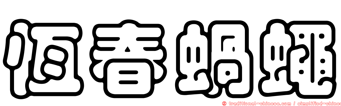 恆春蝸蠅