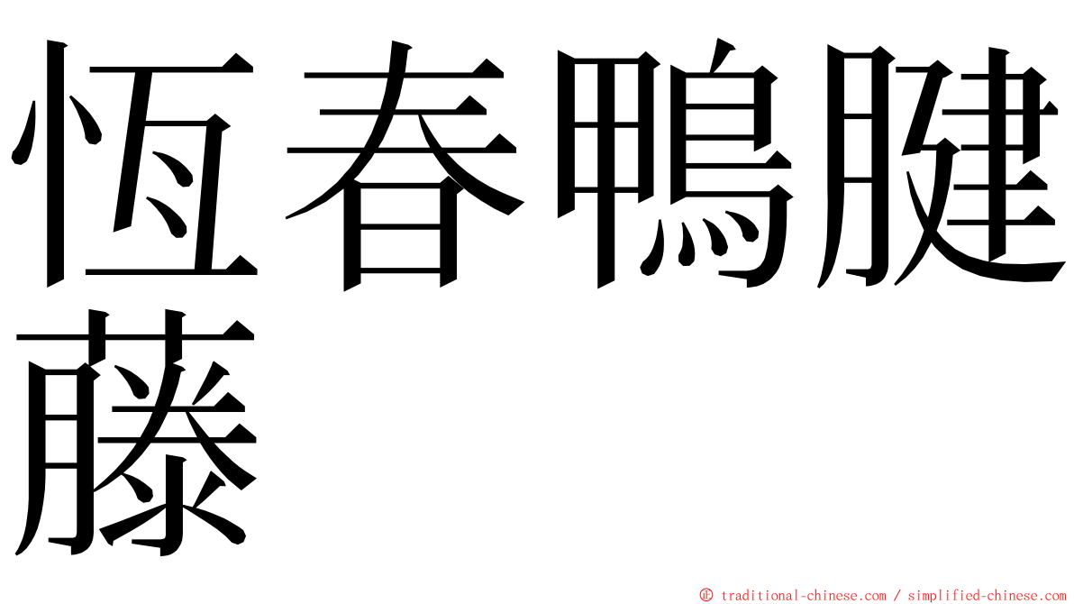恆春鴨腱藤 ming font