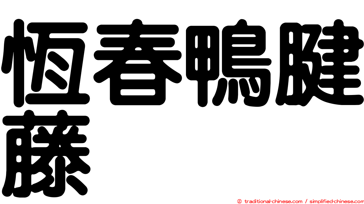 恆春鴨腱藤