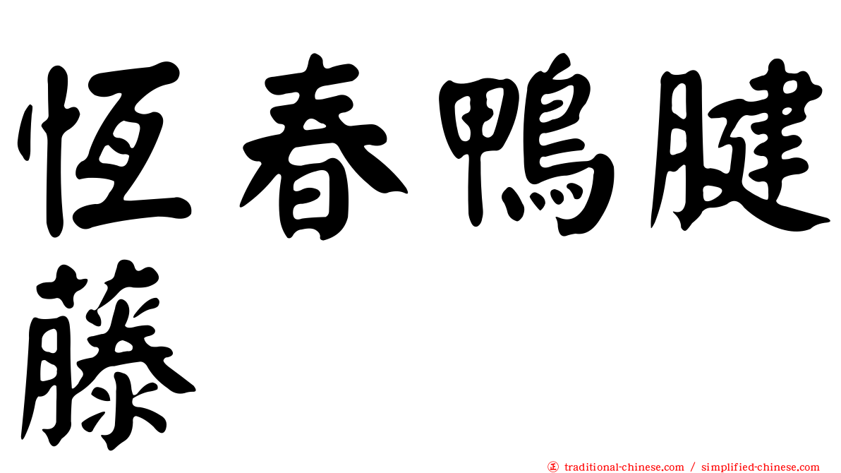 恆春鴨腱藤