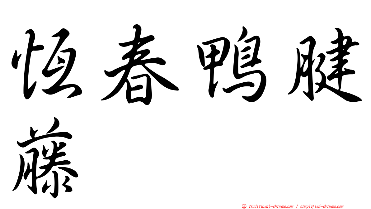 恆春鴨腱藤