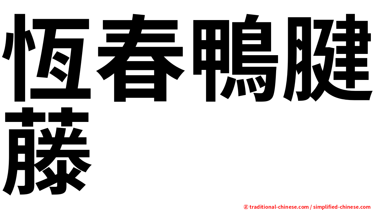 恆春鴨腱藤