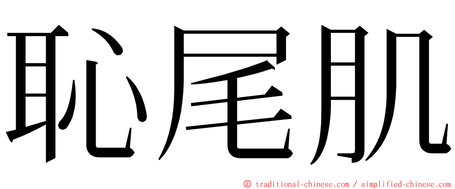 恥尾肌 ming font