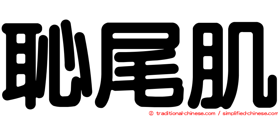 恥尾肌
