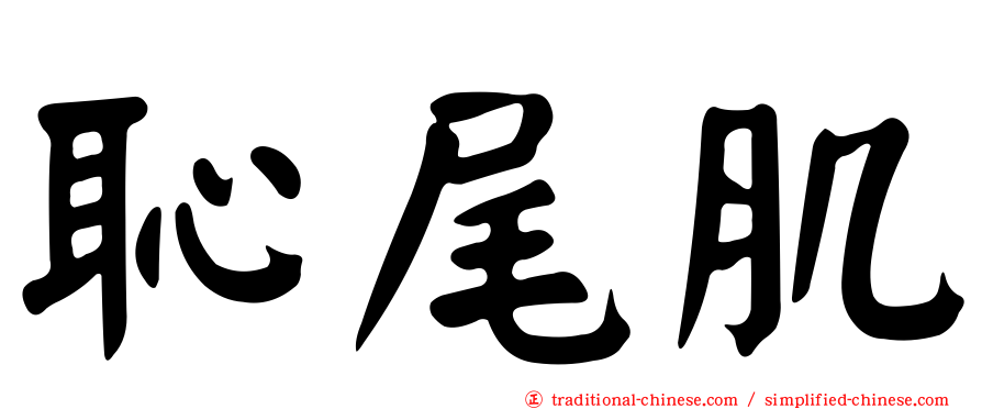 恥尾肌