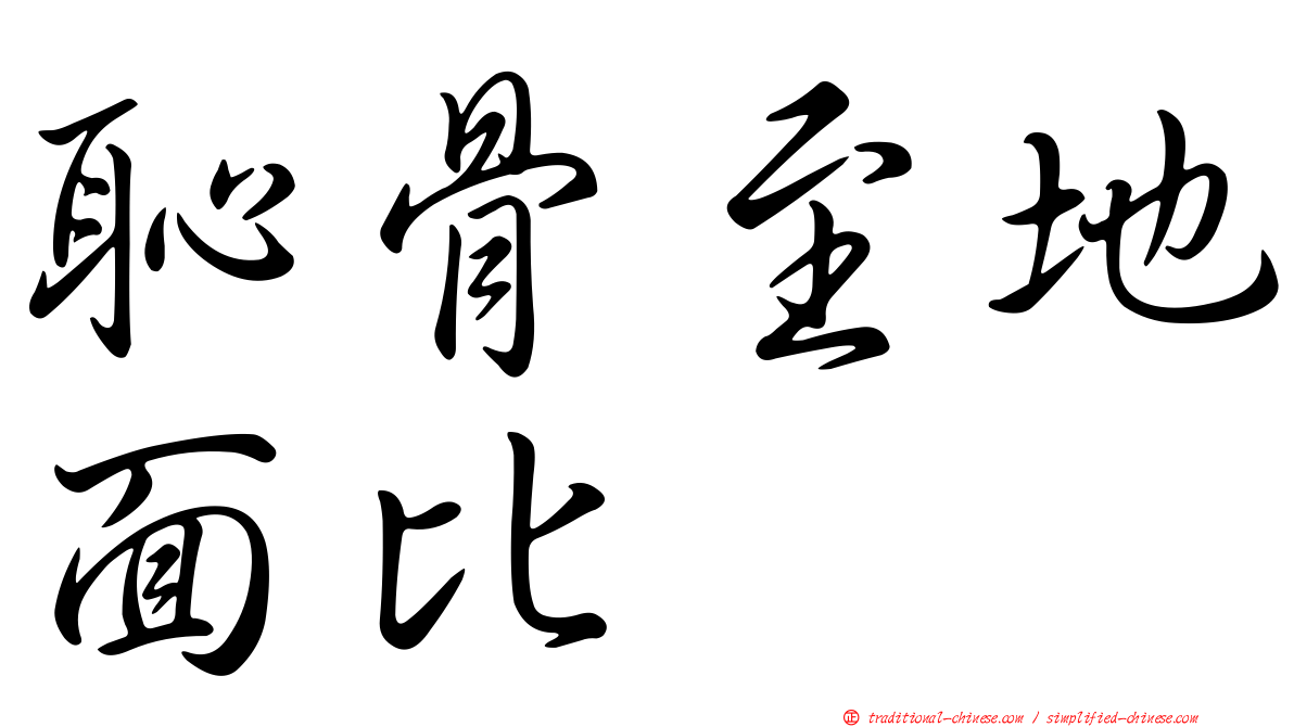 恥骨至地面比