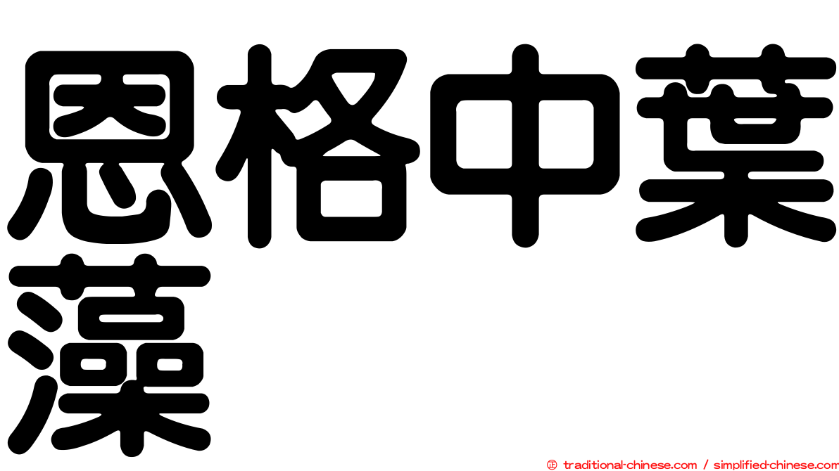 恩格中葉藻