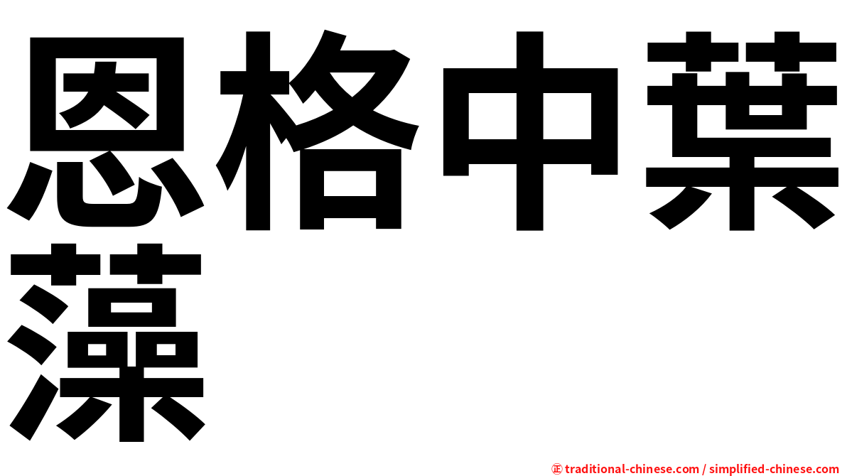 恩格中葉藻