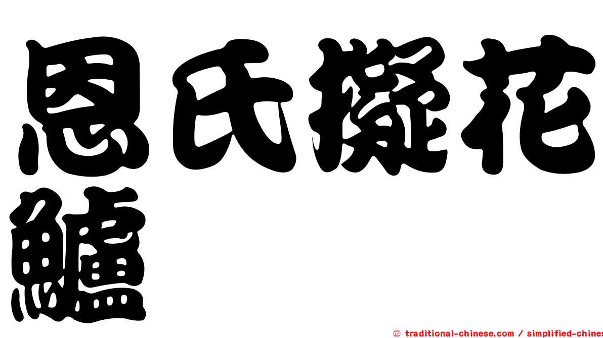恩氏擬花鱸