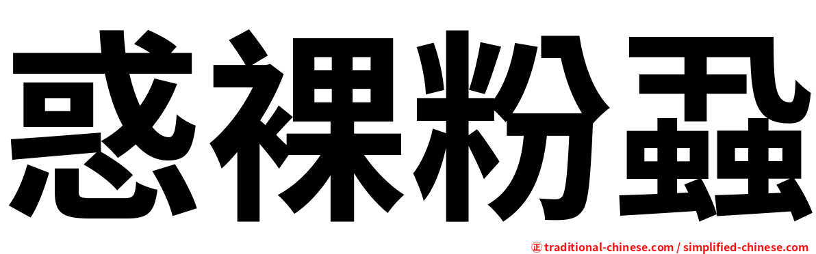 惑裸粉蝨