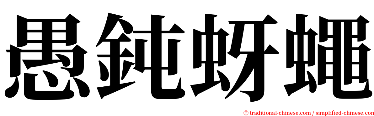 愚鈍蚜蠅 serif font