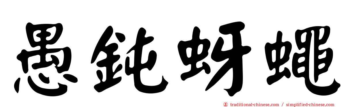 愚鈍蚜蠅
