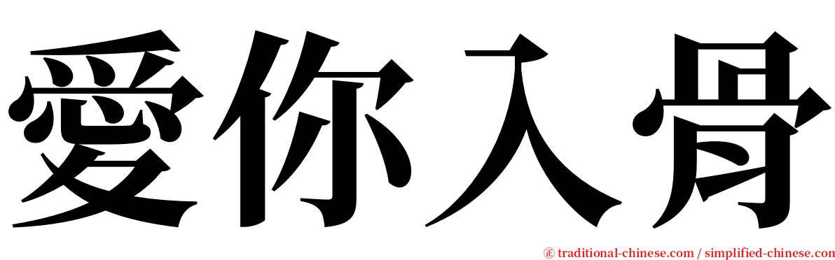 愛你入骨 serif font