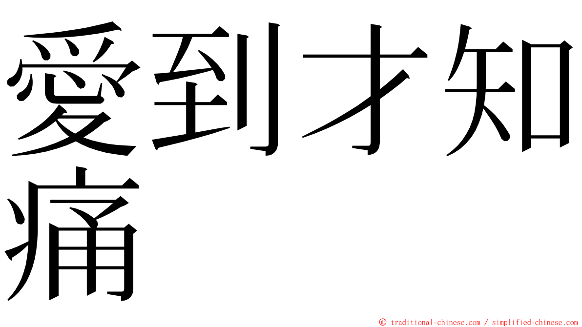 愛到才知痛 ming font
