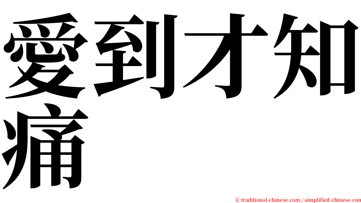 愛到才知痛 serif font