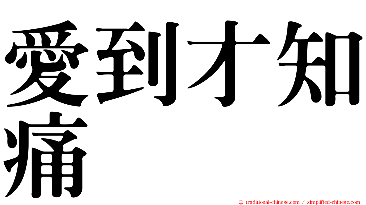 愛到才知痛