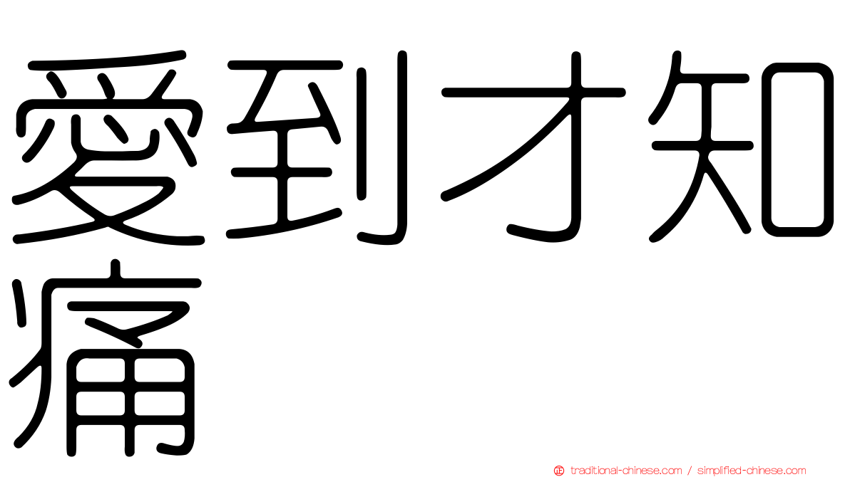 愛到才知痛