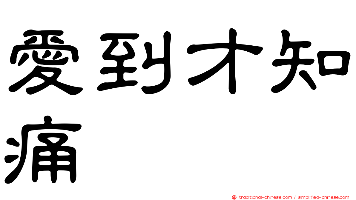 愛到才知痛