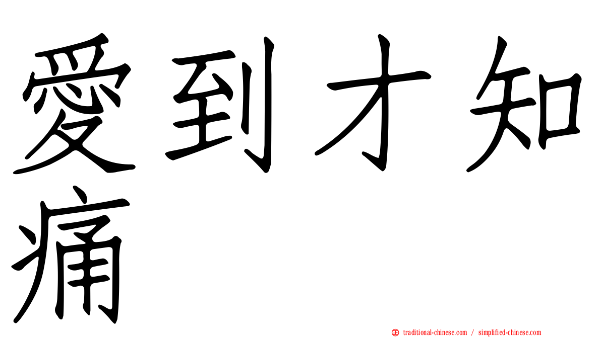 愛到才知痛