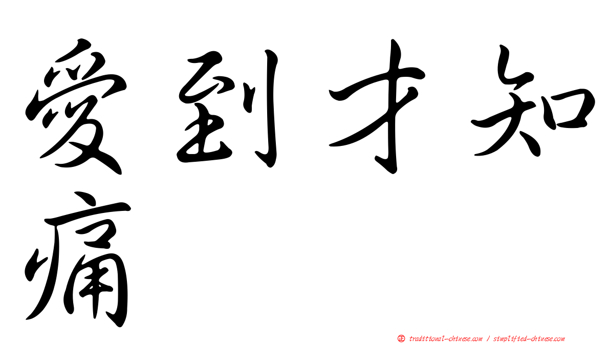 愛到才知痛
